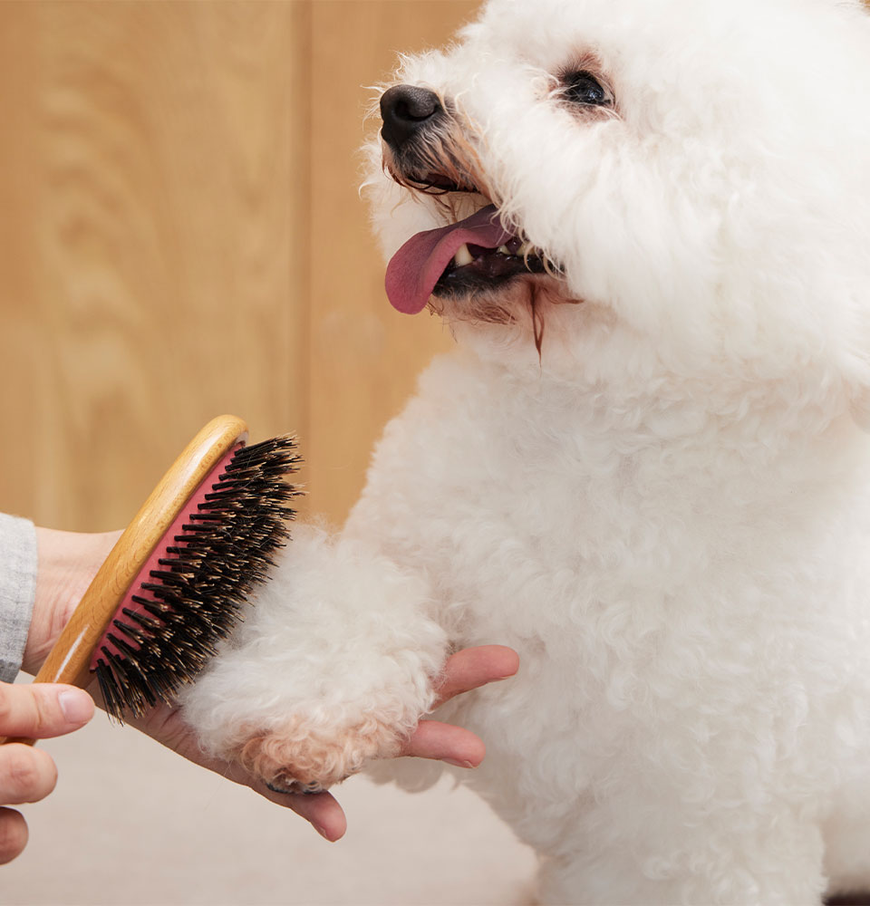 Highly Trusted by Professionals　